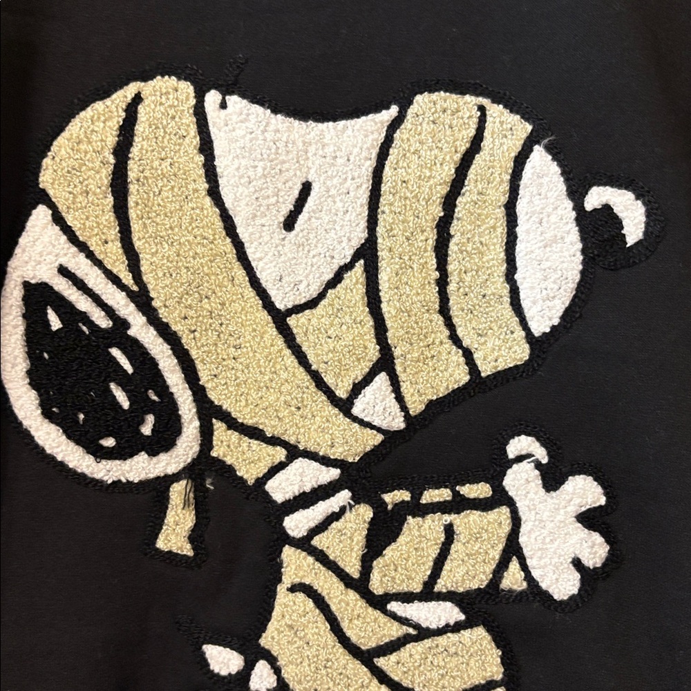 039 NWT Peanuts Snoopy Large for Train - Picture 13 of 14